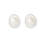 Gratia Cultured Freshwater Pearl Studs In Oval Silver Surround, thumbnail 1 of 2
