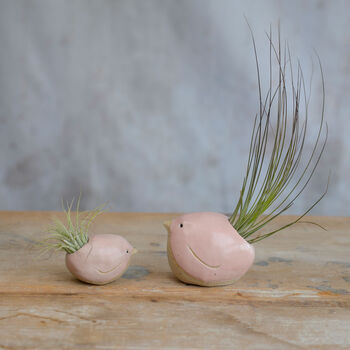 Bird Air Plant Holder In Pale Pink, 5 of 12