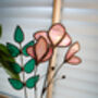 Sweetpea Everlasting Stained Glass Flowers, thumbnail 2 of 12