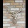 Silver Stag Head, thumbnail 1 of 1