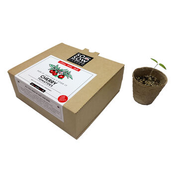 Cherry Tomato Grow Your Own Kit, 3 of 6