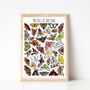 Moths Of Britain Greeting Card, thumbnail 9 of 9