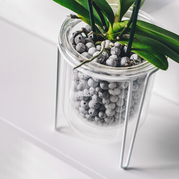 Orla, Glass Planter With Stand, Ideal For Orchids, 3 of 10