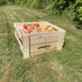 Traditional Dorset Apple Storage Trays Set Of Four, thumbnail 5 of 9