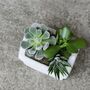 Cement House Shaped Planter With Choice Of Plants, thumbnail 2 of 4