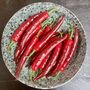 Large Artificial Red Chilli Pepper, thumbnail 1 of 3