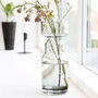 Cinth Grey Tinted Glass Vase, thumbnail 1 of 4