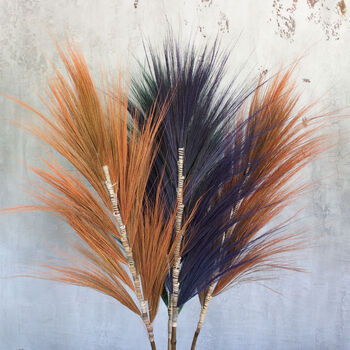 Coral Rayung Pampas Grass Set, 3 of 10