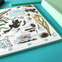 Pond Dipping Journal Notepad, thumbnail 6 of 11