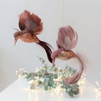 Pair Of Glitter Hummingbird Decorations, 2 of 3