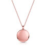 Diamond Round Urn Necklace 18 K Rose Gold Plated Silver, thumbnail 7 of 7