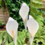 White Cala Lily Sculpture Art049, thumbnail 5 of 6