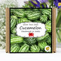 Gardening Gift. Cucamelon Growing Kit, thumbnail 1 of 6