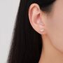 Sterling Silver Axolotl Stud Earrings, thumbnail 6 of 11