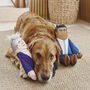 Rishi Sunak Parody Dog Toy, thumbnail 3 of 10