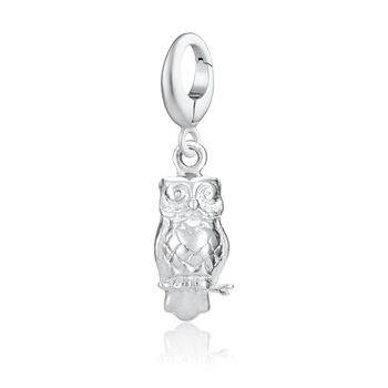 Sterling Silver Wise Owl Charm Necklace, 5 of 7