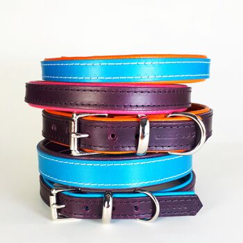 Padded Leather Dog Collar, 7 of 9