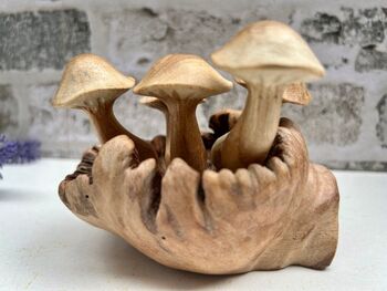 Handcrafted Wavy Cup Mushroom Sculpture Ornament On Natural Teak Root, 4 of 5