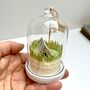 Handmade Personalised Nature Poetry Tent Dome, thumbnail 4 of 7