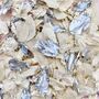 Ivory And Silver Wedding Confetti | Biodegradable Petal, thumbnail 2 of 3