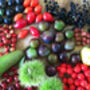 Wild Food, Wild Medicine Foraging Experience For Two, thumbnail 2 of 11