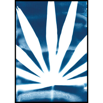 Tropical Palm Leaf Sun Printed Cyanotype Art Print, 2 of 6