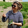 Meadow And Coast Foraging With Gourmet Feast For One, thumbnail 3 of 5