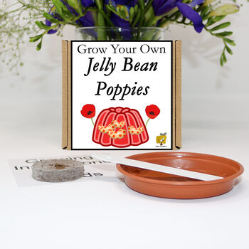 Gardening Gift. Grow Your Own Jelly Bean Poppies Kit, 2 of 6