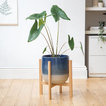 Large Plant Stands, 2 of 8