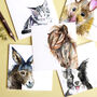 Pack Of Five Pet Themed Blank Greeting Cards, thumbnail 8 of 9