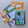 Adopt A Bee Gift Tin, thumbnail 2 of 4