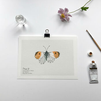 Set Of Butterfly A5 Giclée Art Prints, 7 of 11