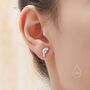 Sterling Silver Manatee Stud Earrings, thumbnail 9 of 11