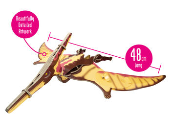 Build Your Own Personalised Pteranodon, 4 of 10
