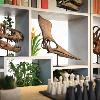 Large Hand Painted Geosternbergia Skull Dinosaur Sculpture – Museum Quality 3D Resin Fossil Model On Black Metal Stand, Statement Home Decor, 3 of 4