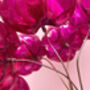 Hot Pink Bouquet Recycled Plastic Bottle Flowers, thumbnail 9 of 12