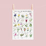 The A To Z Of Wildflowers Print, thumbnail 3 of 6