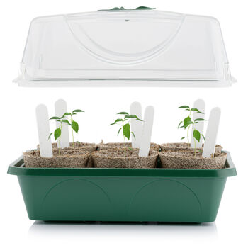 Grow Your Own Chilli Kit | Six Chilli Peppers To Grow, 5 of 6