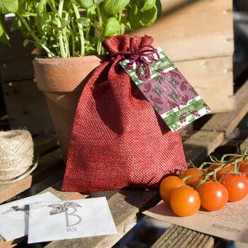 Grow Your Own Organic Tomato Sauce Gift Set, 9 of 11