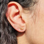 Capricorn Star Sign Constellation Astrology Earrings, thumbnail 2 of 4