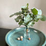 Fresh Eucalyptus Bud Vase Gift Set, thumbnail 2 of 9