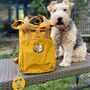 Personalised Doggy Daycare New Puppy Gift Backpack, thumbnail 2 of 12