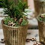 Natural Decorative Tabletop Accessories Stars, thumbnail 2 of 5