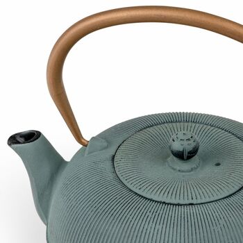 Cast Iron Teapot Sichuan 1000ml With Steel Filter, 6 of 11