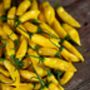 Chilli Plants, 'Hot Lemon', thumbnail 6 of 7