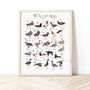 The A To Z Of Ducks Print, thumbnail 1 of 6