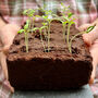 The Salad Seed Bar, thumbnail 2 of 3