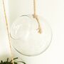 Recycled Glass Hanging Terrarium, thumbnail 2 of 6