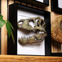 T Rex Dinosaur Skull Replica Wall Hanging Box Frame, thumbnail 2 of 4