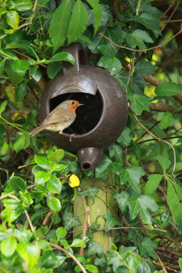 Robin Teapot Nester By London Garden Trading